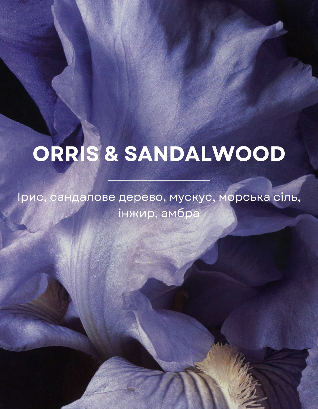 Парфум для дому Orris & Sandalwood