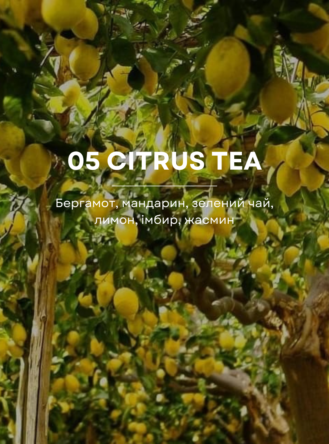 Свічка 05 Citrus Tea