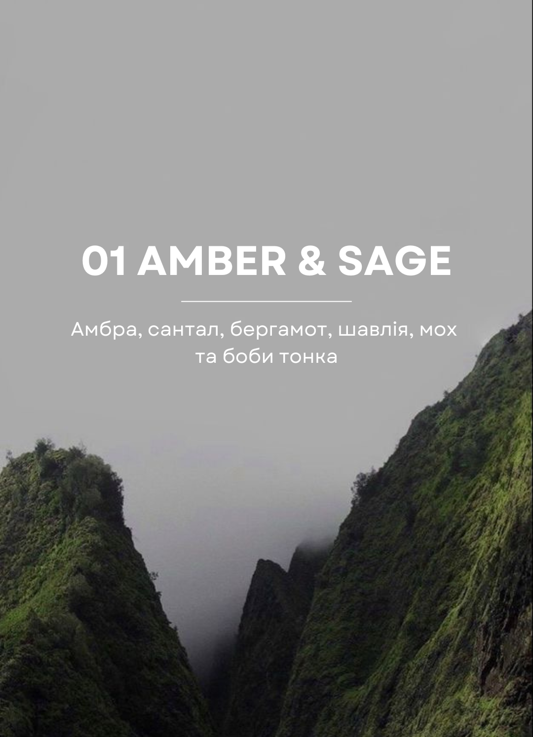 Дифузор Amber & Sage